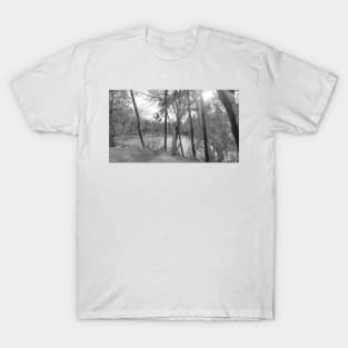 Winter Dream BW T-Shirt